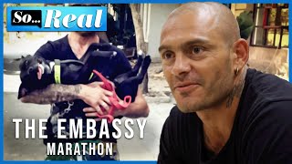 Bodybuilders, Missing Wives and Trouble Clubbing! | Season 2 | Full Episodes 1 - 4 | The Embassy