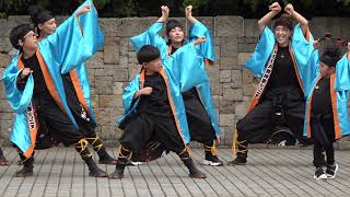 REDA舞神楽ジュニア／ザ・よさこい！大江戸ソーラン祭り2019