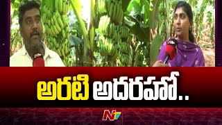 Kurnool: కరువు నేలపై సిరులు కురిపిస్తున్న అరటి | Special Report | Ntv