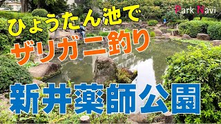 新井薬師公園 | 池でザリガニ釣り。遊具もあるよ!