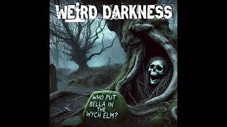 The Spy, The Witch, and the Wych Elm: An Unsolved Mystery
