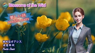 Poetic Oasis(12 tracks) | Blossoms of the Wild | relaxing | light music | healing | calm