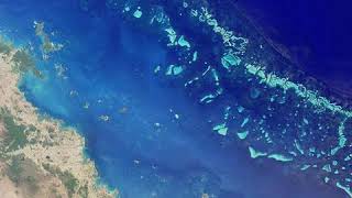 Environment protection | Wikipedia audio article