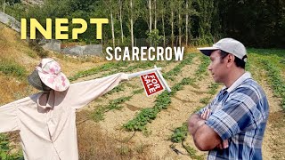 We intend to sell or give away an inept scarecrow ما قصد فروش یا واگذاری یک مترسک بی عرضه را داریم