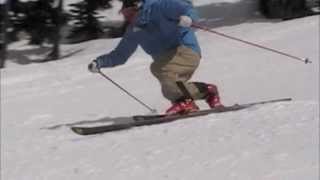 Telemark Demo.