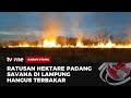 Kobaran Membakar 950 Hektar Padang Savana Taman Nasional Way Kambas | Kabar Utama tvOne