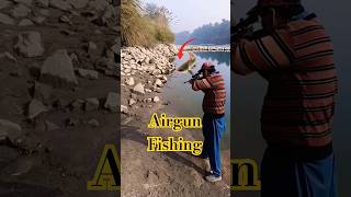 Airgun Fish Hunting | Wallago Attu Catfish hunting #fishing #airgun #shortsfeed