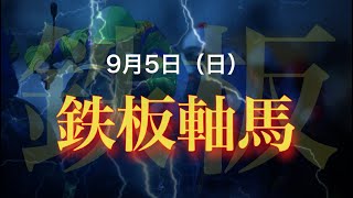 鉄板軸馬　 (33-18-7-11) 9月5日（日）平場予想　鉄板　競馬予想