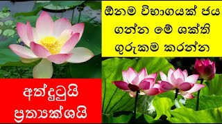 ඕනම විභාගයක් ජය ගන්න මේ ශක්ති ගුරුකම කරන්න  - අත්දුටුයි ප්‍රත්‍යක්ශයි | Nelum Kirana Abhyasaya