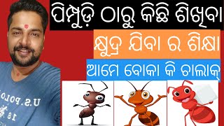 ଏହି 5ଟି କଥା ନିଶ୍ଚିନ୍ତ ଶୁଣନ୍ତୁ 🔴 Best Odia Motivational Video