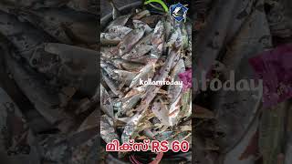 ഇന്നത്തെ മീൻ വില കൊല്ലം #fish