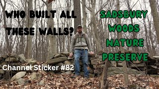 Who Built All These Walls ~ Sadsbury Woods Nature Preserve