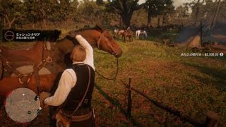 RDR2 　アーサーの葛藤