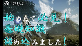 【アーキエイジウォー】始めたて必見！放置狩り、ダイヤの貯め方使い方、おすすめ装備などいろいろ解説！【アキウオ】