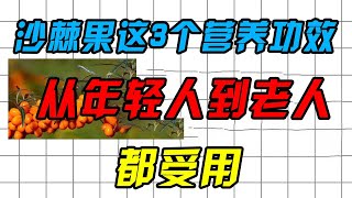 沙棘果这3个营养功效，从年轻人到老人，都受用【養生前沿】