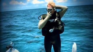 Stuart Cove's Dive Bahamas Famous Shark Experience!