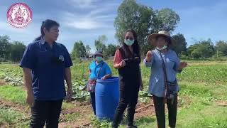 โครงการพัฒนาศักยภาพเครือข่าย ฝึกอบรมผู้สูงอายุ เพื่อการขับเคลื่อนงาน พัฒนาคุณภาพชีวิต