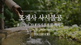 조계사 사시불공(8/20 10시) #사시불공 #가가호호함께기도