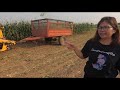 sn ep3 ชมการผลิตข้าวโพดหมักพร้อมฝัก corn silage และการนำไปใช้ประโยชน์ เพื่อเป็นอาหารสัตว์