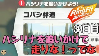 継続は筋肉なり！【リングフィット アドベンチャー】 30日目