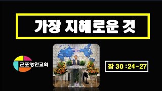 [군포영안교회]가장 지혜로운 것 (잠30:24-28)2022.9.18