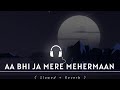 AA BHI JA MERE MEHERMAAN | ATIF ASLAM | SLOWED X REVERB | LOFI MIX | #viral #song