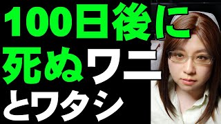 「100日後に死ぬワニ」最終話発表。Twitterトレンドワード1位。タイトルネタバレの話だからこその結末。