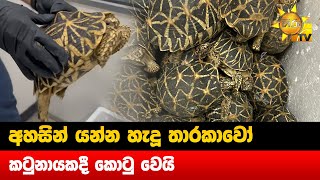 අහසින් යන්න හැදූ තාරකාවෝ - කටුනායකදී කොටු වෙයි  - Hiru News