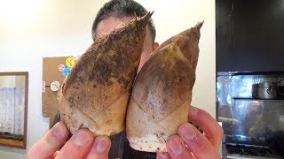 일본엔 야채에도 사시미가 있다고? Japanese Bamboo Shoots Sashimi!?