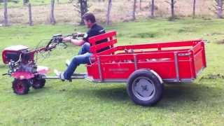 Featured image of post Motocultivador Toyama Tdt110