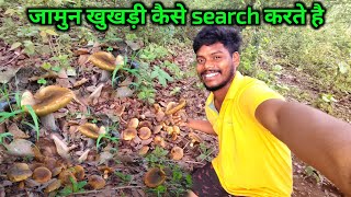 जामुन खुखड़ी कैसे search करते है | how to search masroom | village in jharkhand | Charu beti vlogs