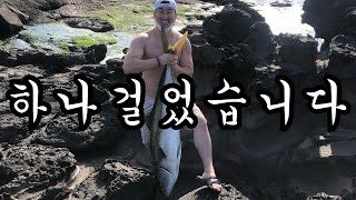 사람 키 만한!! 1미터40센치 30키로 부시리 낚시!! 고기야? 괴물이야?