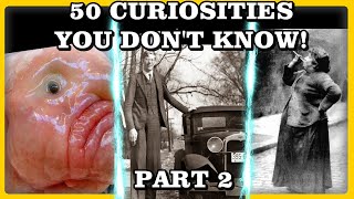 The 50 greatest curiosities in the world that few people know! Part 2