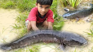 Hand Fishing By Village Boy | Amazing Hand Fishing Video | Primitive Survival #fishing #chandrayaan3