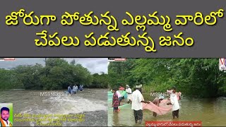 జోరుగా పోతున్న ఎల్లమ్మ వాగులో చేపలు పడుతున్న జనం