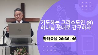 기도하는 그리스도인 (9) \