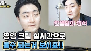 화장품 흡수 정말 될까? 영양 크림 흡수 직접 보시죠 (인셀덤 크림 도브의 정석)