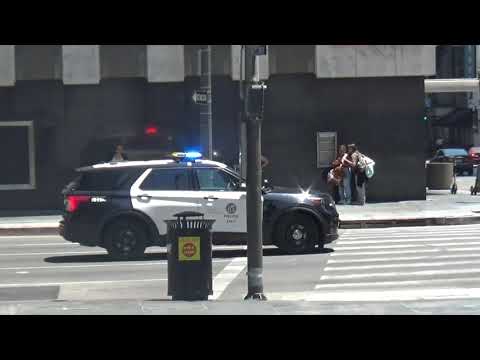 Lapd Responding Youtube