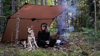 Solo Bushcraft Overnighter with my Dog