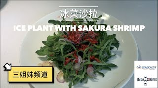 冰菜沙拉樱花虾食谱 | ICE PLANT WITH SAKURA SHRIMP RECIPE | Sendo Ichi Seafood |（三姐妹频道）| Three Sisters Channel