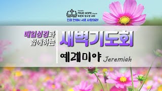 새벽기도회 240805 (렘 45:1-46:12)