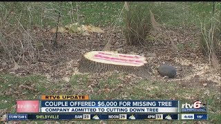 Brownsburg couple gets $6K from company that cut down 40-year-old tree without notice