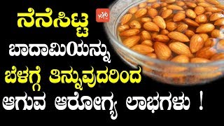 ನೆನೆಸಿಟ್ಟ ಬಾದಾಮಿಯನ್ನು ಬೆಳಗ್ಗೆ ತಿನ್ನುವುದರಿಂದ ಆಗುವ ಆರೋಗ್ಯ ಲಾಭಗಳು ! | Soaked Almonds Benefits Kannada