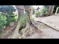 【比々多神社 1　パワースポット　御朱印　子宝】相模国最古級神社　ひびたじんしゃ　リモート参拝　相模国府六社