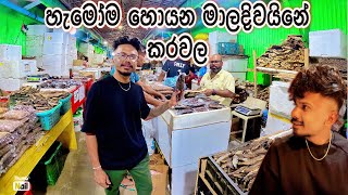 හැමෝම හොයන මාලදිවයිනේ කරවල අලුත්ම මිල ගනන් | Maldives dry fish market | Sinhala | Maldives 🇲🇻|
