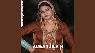 Alwar Jila M