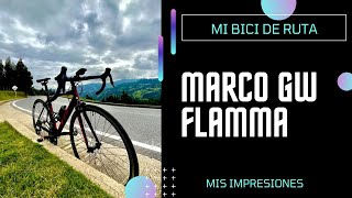 Marco GW Flamma Bicicleta de Ruta