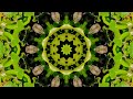 new video flower mandala show kaleidoscope mandala relaxation judy