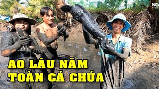 Tát Đìa Lâu Năm Bắt Cá Ăn Tết Toàn Cá Lóc Chúa, Cá Rô Khủng, Cá Trạch, Cá Trê Thấy Mê/NGÃ NĂM TV