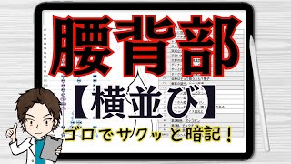 【最短で記憶】腰背部横並び経絡経穴をゴロで覚える最速メソッド【語呂合わせ：あはき国試対策】※修正点は概要欄